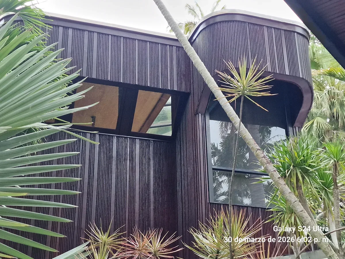 Clean cedar wood surface after eco-friendly laser cleaning