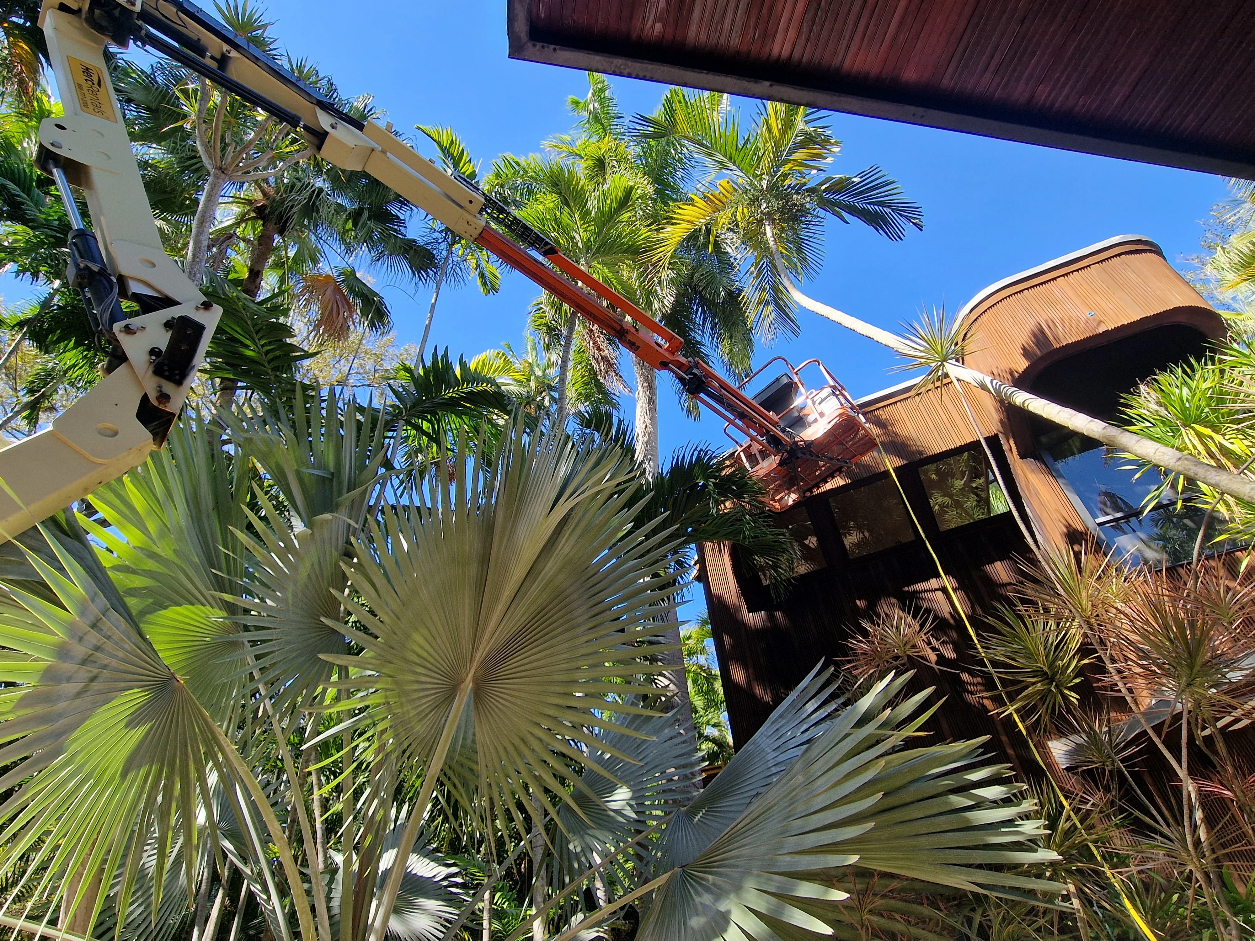 Wood Facade Laser Cleaning - Complete